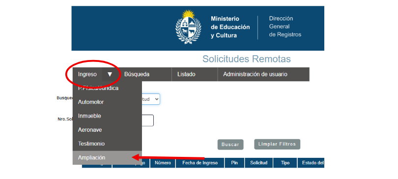 Pantalla de ampliación 1